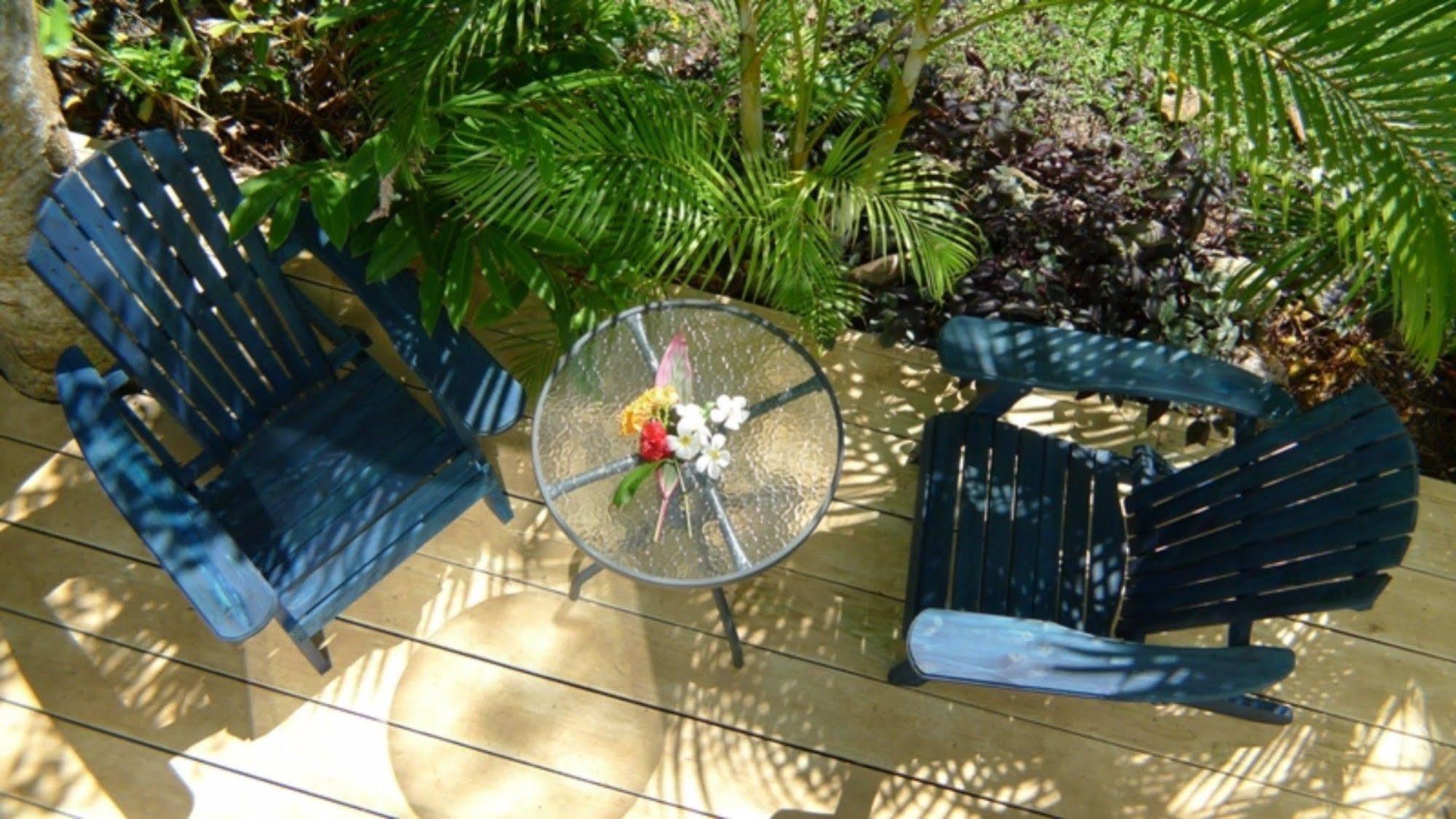 Aroa Kainga Bungalows And Apartment 拉罗汤加 外观 照片